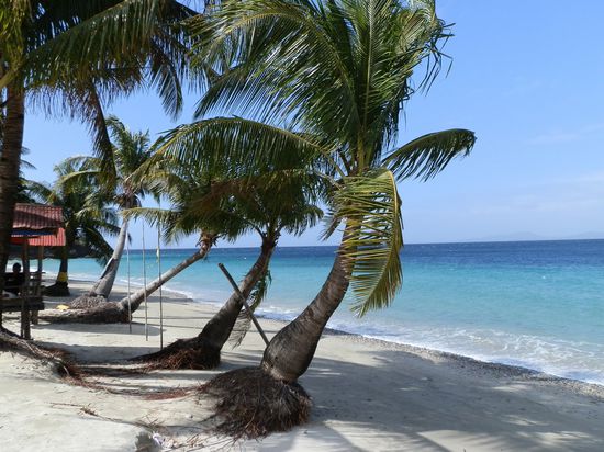 Ist das nicht fantastisch ????