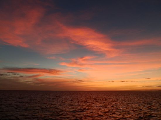 So etwas sieht man selten 