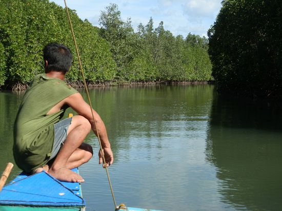 Bossis lieblings Foto
Einmal durch die Mangroven