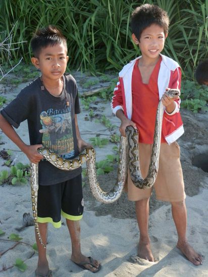 Lebendig wäre sie uns lieber gewesen