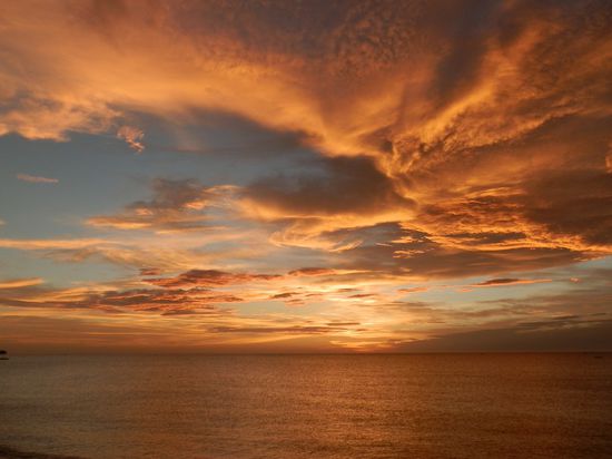 Das muss immer wieder sein 