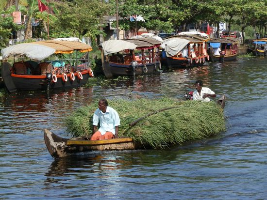 Es gibt immer was zu gucken