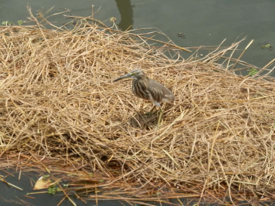 Die Natur ist atemberaubend schön!!!