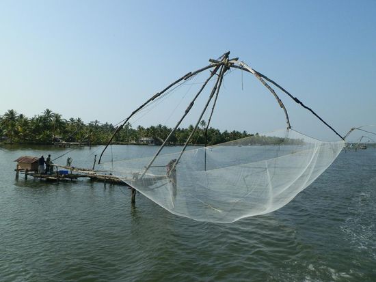 Musste ja was mit Fischen zu tun haben