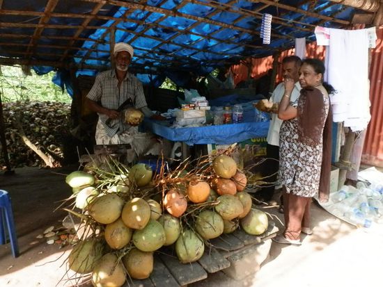 Zwischendurch mal eine Kokosnuss