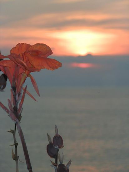 Sonnenuntergang am Varkala Beach