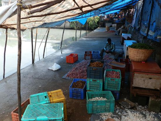 Das Gemüse wird auch darin gewaschen!!!