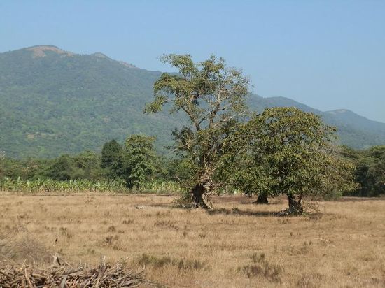 Dafür lohnt es sich doch mal anzuhalten