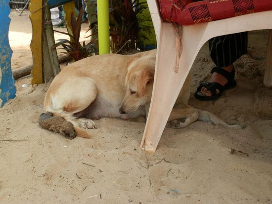    Natur pur!!!!!!
Der oder die kleine sah später aus wie paniert !