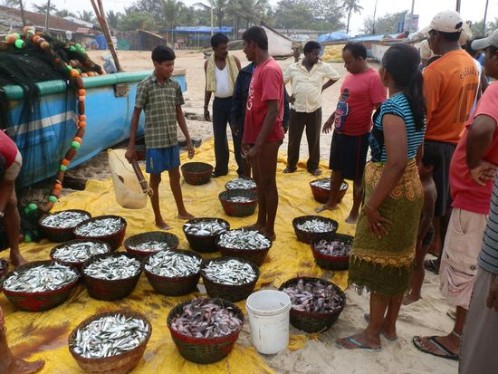 Fischer am Strand von Benaulim
Der Fang wird sofort verkauft