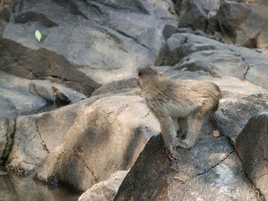 Die sind natürlich immer dabei
Also auf die Sachen aufpassen sonst sind die weg!