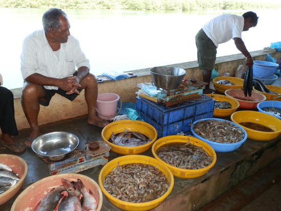 Hier haben wir unsere Scampis gekauft 