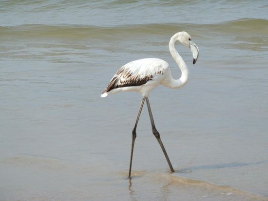 In welchem Land sind wir nochmal?