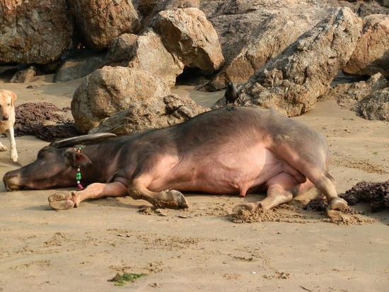Das bin ich nach der Ankunft 