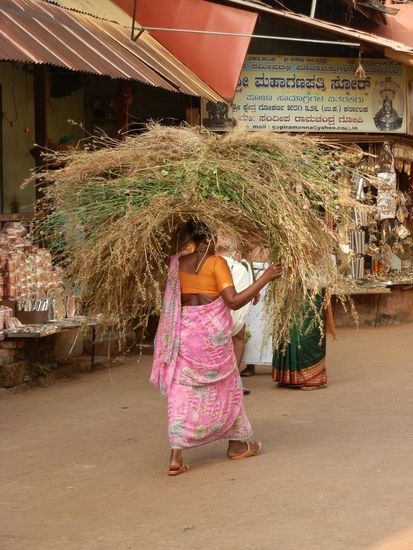 Sieht toll aus ist aber bestimmt schwer