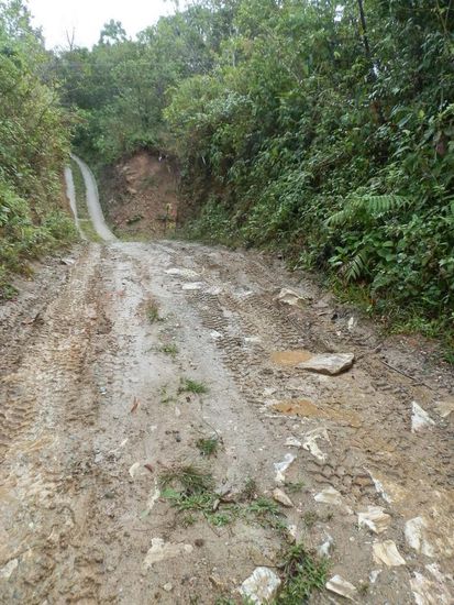 Über Stock und über Stein
Mitten durch den Matsch