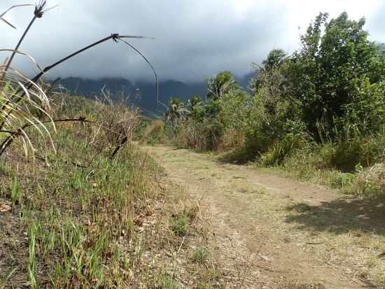 Höher und immer höher