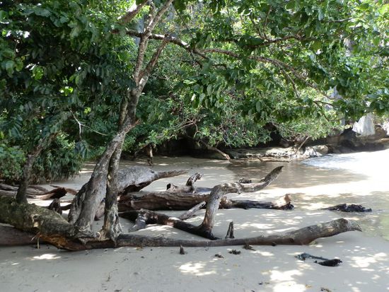 Natürlich - ist es immer noch am schönsten