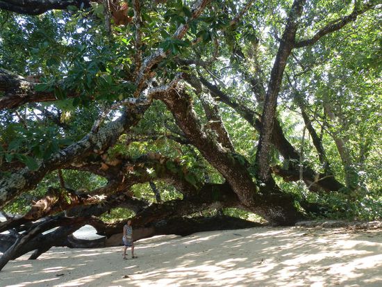 Der Korallenstrand im Nationalpark
Das ist noch Natur pur