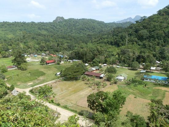 Ausblick aus 50 Metern höhe