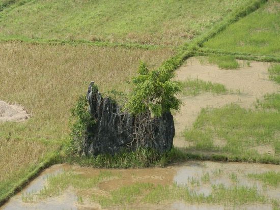 Für nur 50 Meter auch ein netter Ausblick