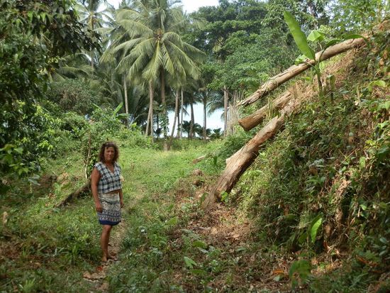 Weiter und immer weiter