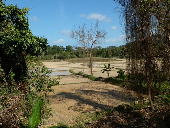 Auf dem Weg zum Wasserfall war das mitunter die einzigste Abwechslung