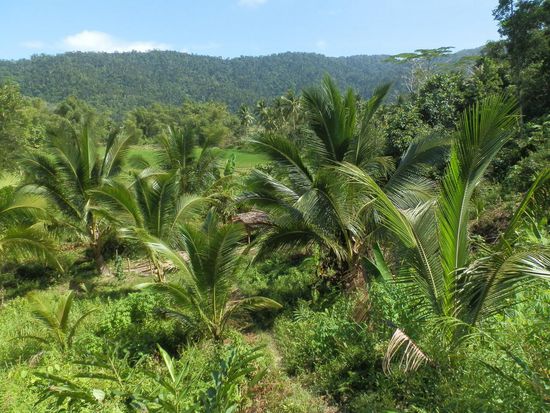 Auch mal eine kleine Aussicht