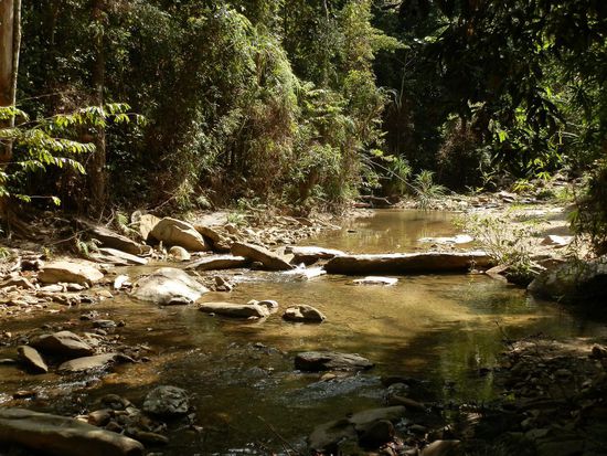 Den nächsten Fluss, von Stein zu Stein hüpfen