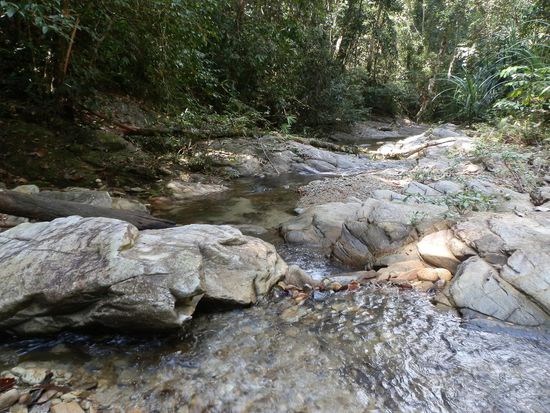 Die Flussläufe finde ich auch immer wieder faszinierend