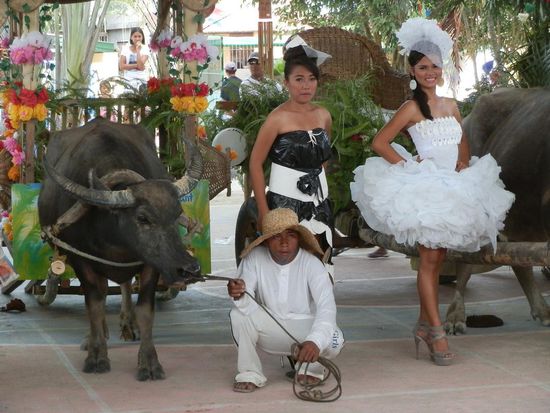 Schönheitswettbewerb
Allerding durften nur Recyclebare Materialien verwendet werden
Hier alles aus Plastiktüten gemacht