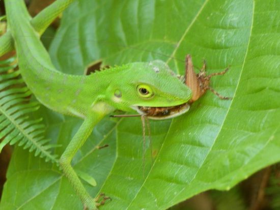 Den haben wir auf dem Weg im Gebüsch entdeckt