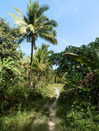 Immer dem Pfad nach! 
Hoffentlich keine Sackgasse