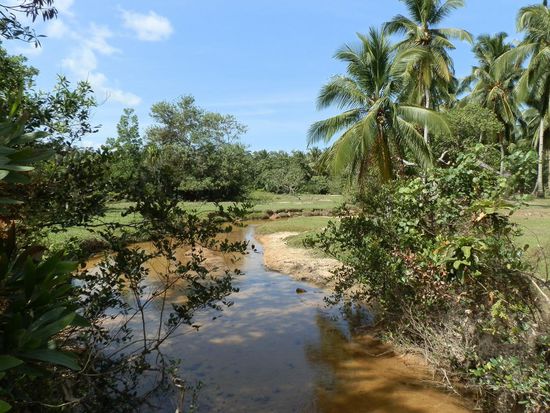 An wundervollen Flüsschen vorbei