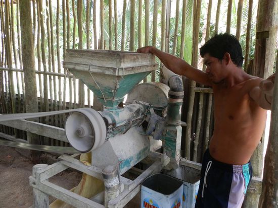 Dann nochmal beim Reis schälen zuschauen