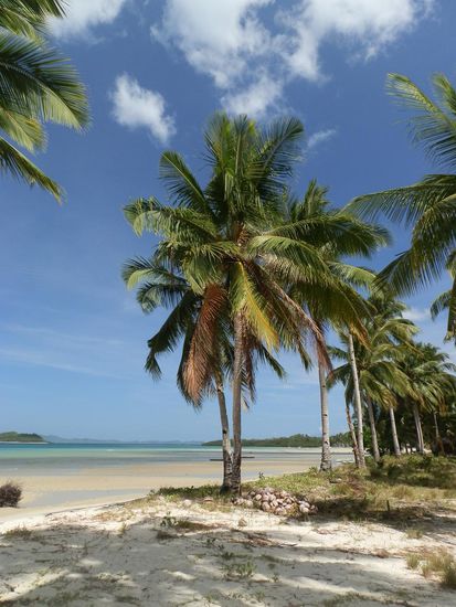 Diese Seiten bis zum Ende durch und dann wieder zurück