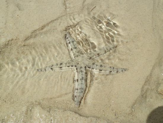 Davon gab es hier ganz viele