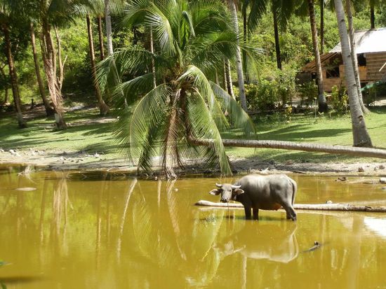 An einem kleinen See vorbei
