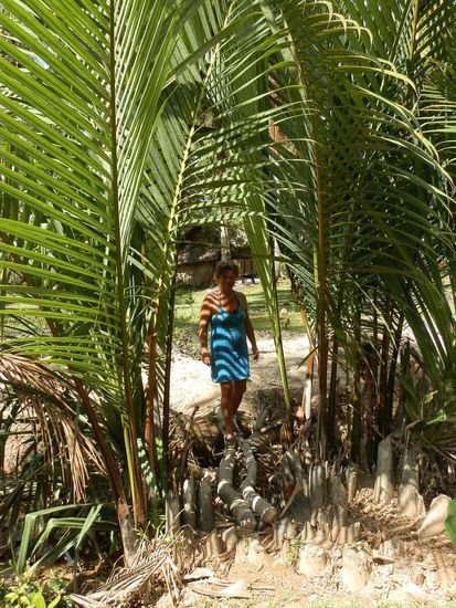 Diese Brücke kannten wir noch