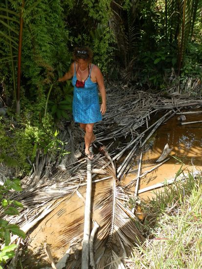 Aber diesen sind wir nicht auf dem Hinweg gegangen
So ging das eine ganze Weile bis wir wieder auf dem richtigen Weg waren