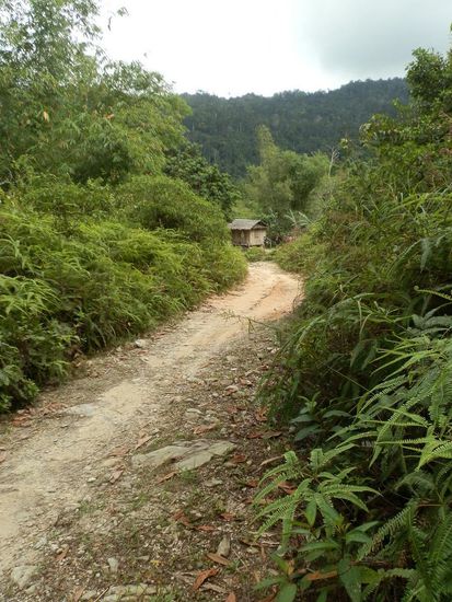 So geht man doch gerne Spazieren 