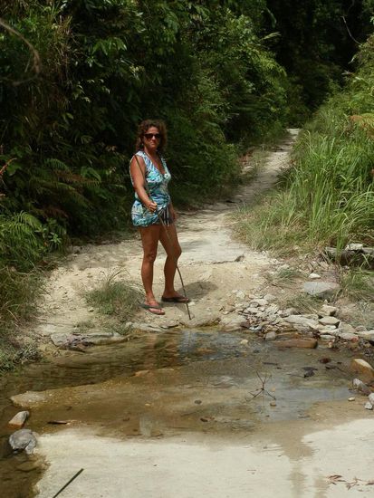 Und nun noch den ganzen Weg wieder zurück