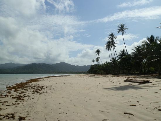 Der Strand kurz vorm Flughafen
Der mit den Sandfliegen