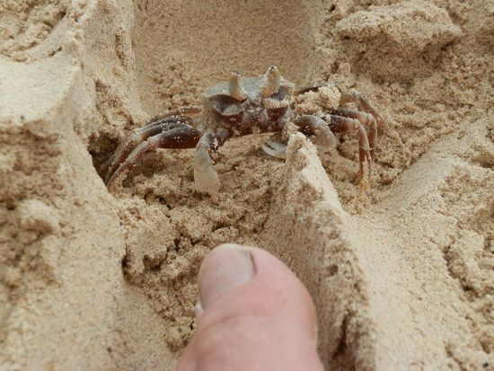 Die lassen sich das nicht gefallen!!!