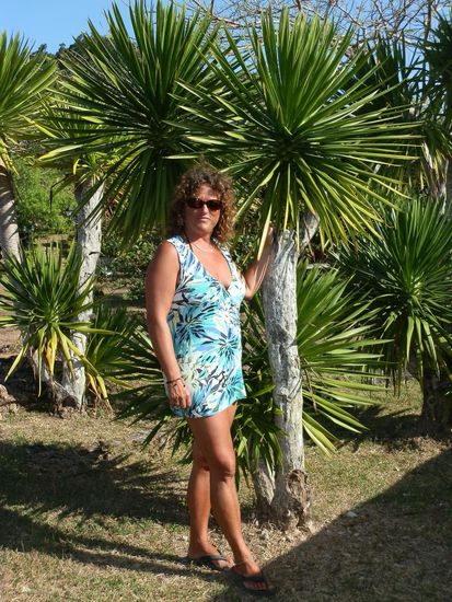 Ein toll angelegter Garten