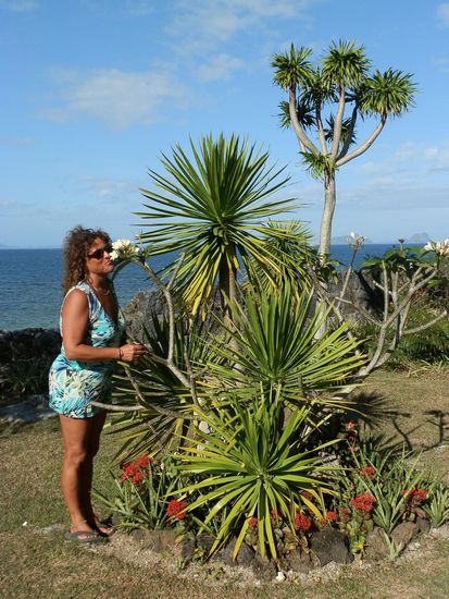 Und herrlich duftende Blumen
Betörend!!!