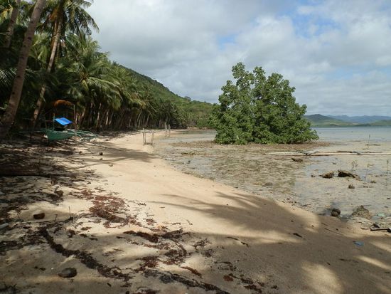 Natürliche Schönheit 