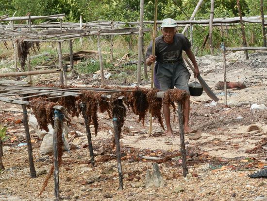 Hier war Schluss, dann gab es nur noch Mangroven