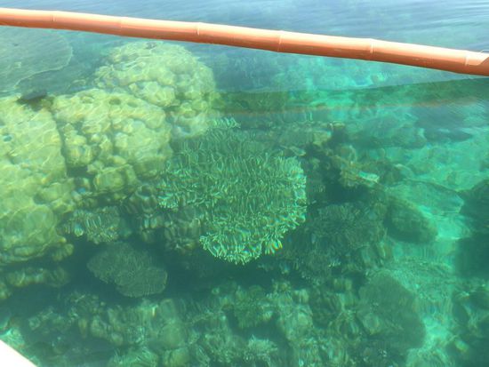 Schnorcheln bis einem die Kräfte komplet verlassen