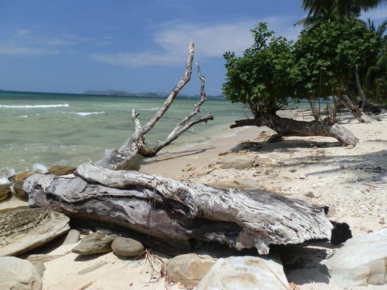 Von wegen Stundenlang nur am Strand liegen 
Mal nach Rechts ein paar Meter und mal nach Links ein paar Meter 